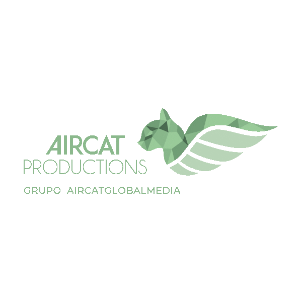 aircatproductions Sticker