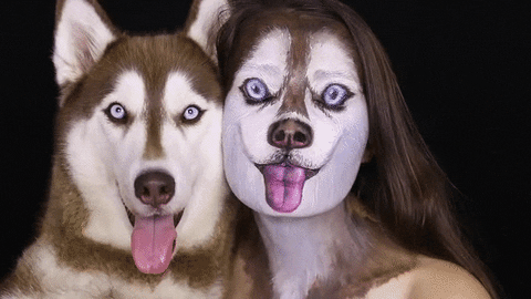 Dog Halloween GIF - Find & Share on GIPHY