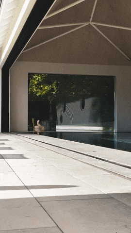 HIRT kinetics GIF
