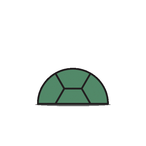 Slow Turtle Shop Sticker