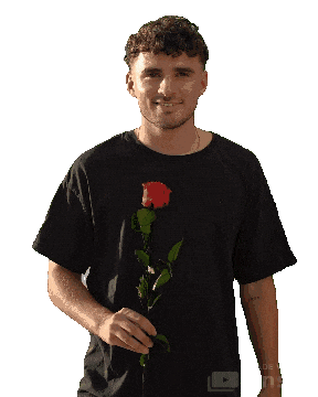 Apolonya Sticker by Nidhal Saadi