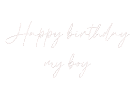 Happy Birthday Boy Sticker