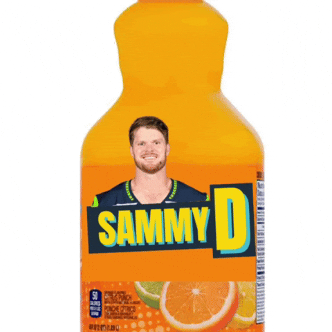 Seattle Seahawks Nfl GIF