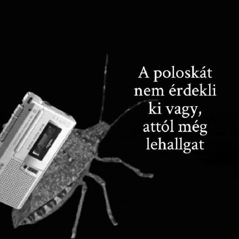 Poloska GIF by Keddi Kosár