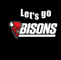Lets Go Basketball GIF by Bisons