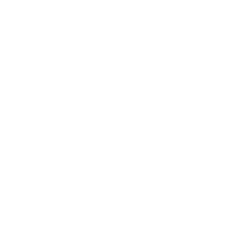 Sanyfw Sticker by South Asian New York Fashion Week