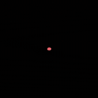 Oala GIF