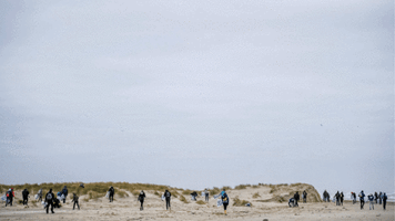 Strom Terschelling GIF