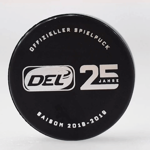 Deutsche Eishockey Liga Del GIF