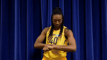 basketball sport GIF by Indiana Fever