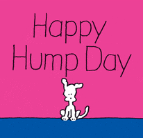Happy Humpday GIFs - Find & Share on GIPHY