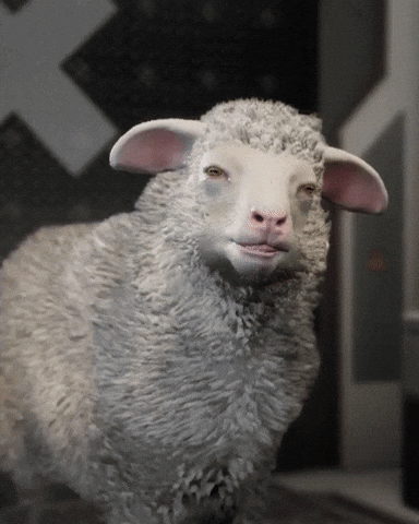 Molly What GIF by 11 bit studios