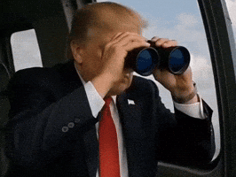 Donald Trump GIF