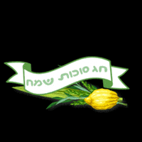 Jewish Hebrew GIF