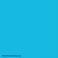 Worldoceansday Gifs Get The Best Gif On Giphy Worldoceansday Gifs Get The Best Gif On Giphy