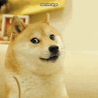Thug Life Doge GIF