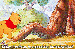 the many adventures of winnie the pooh