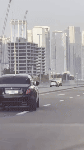 Dr. H. C. Diego Granese GIF