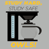 Studying Wake Up GIF by Kennesaw State University