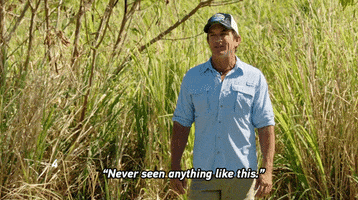 jeff probst challenge GIF by CBS