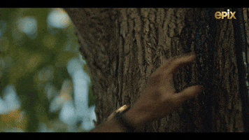 David Alpay Hand GIF by FROM