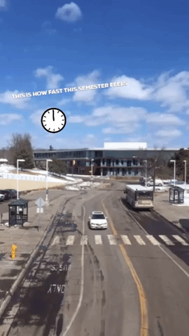 Car Time GIF by Kathryn A. Martin Library