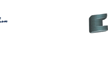 NZSki Sticker
