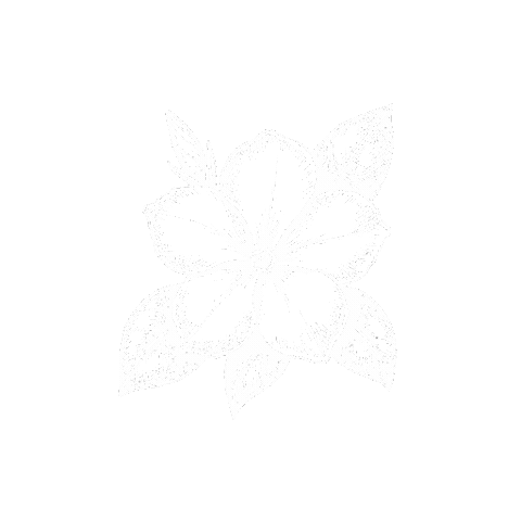 Tamoaqui Sticker by Masiel Mateo