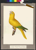 200.gif?cid=fc005b08be7c740c84ba7875796c410da7520581f0812cf7&rid=200.gif&ct=g