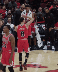 Run With Us Zach Lavine GIF by Chicago Bulls - Find & Share on GIPHY