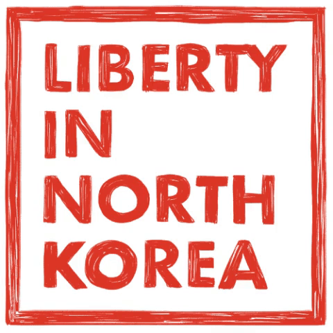 liberty in north korea link GIF