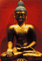 GIF de aniversário da web