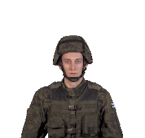 Pv Sticker by Puolustusvoimat