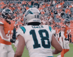 Panthers Coker GIF
