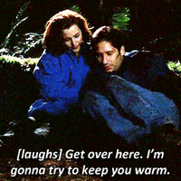 Btw I Hate This The X Files GIF