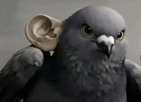 Angry Birds Ai GIF