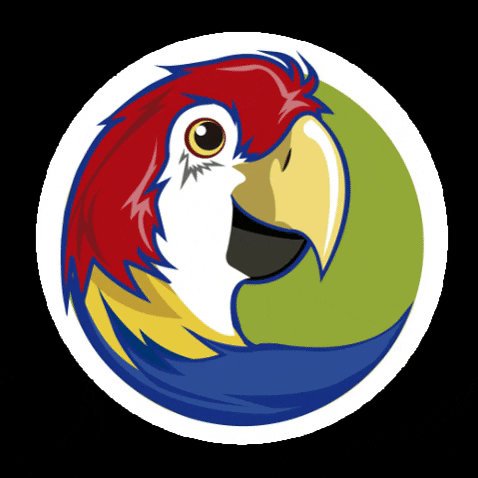 Travel Colombia GIF by ColombiaTours.Travel