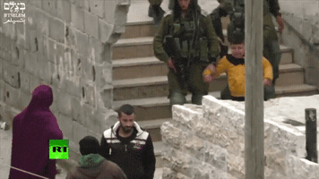 yallafeed  GIF