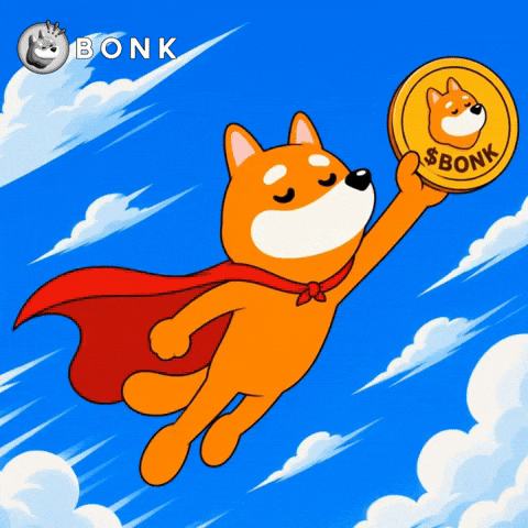 Crypto Web3 GIF by BONK