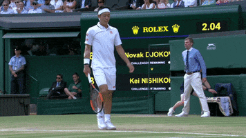 celebrate kei nishikori GIF by Wimbledon