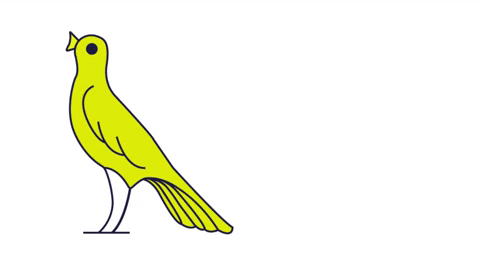bird animated gif