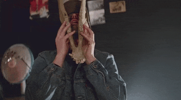 music video fan GIF by Peter Bjorn and John
