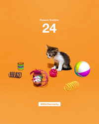 number24th GIFs on GIPHY - Be Animated