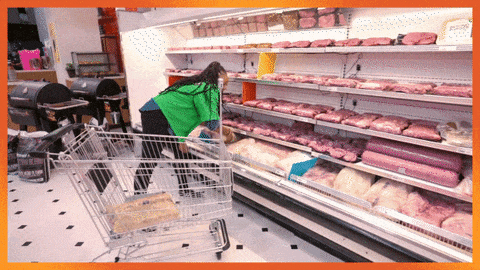 giphy-downsized-medium.gif