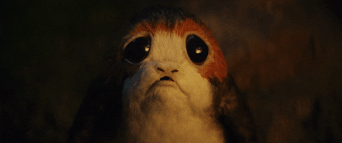 Porgs GIFs - Get the best GIF on GIPHY