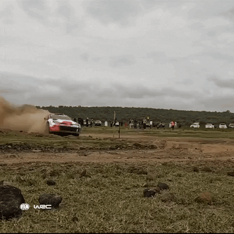 Drift Driving GIF by FIA World Rally Championship
