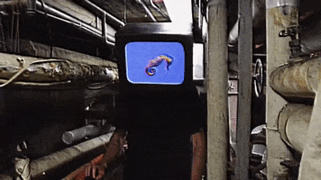 200.gif?cid=fc005b08638302f2bf506a5daaa27ada2fbf6c874f055c58&rid=200.gif&ct=g