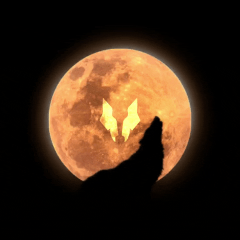 Wolf GIF by gogpac