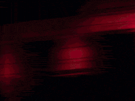 GIF by 2facedlon