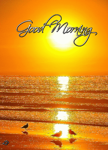 Good Morning Sun GIFs - Get the best GIF on GIPHY
